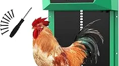 Best 5 Solar Powered Chicken Coop Door