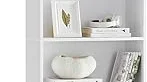 Best 5 Solid Wood Bookcase