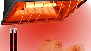 Most Popular 5 Solar Heat Lamp