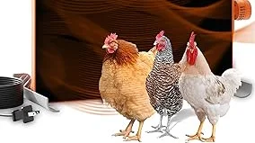 Top Rated 5 Solar Chicken Coop Heater