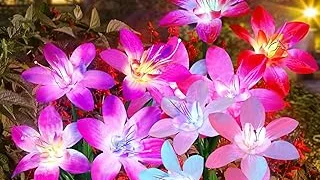 Top Rated 5 Solar Flower